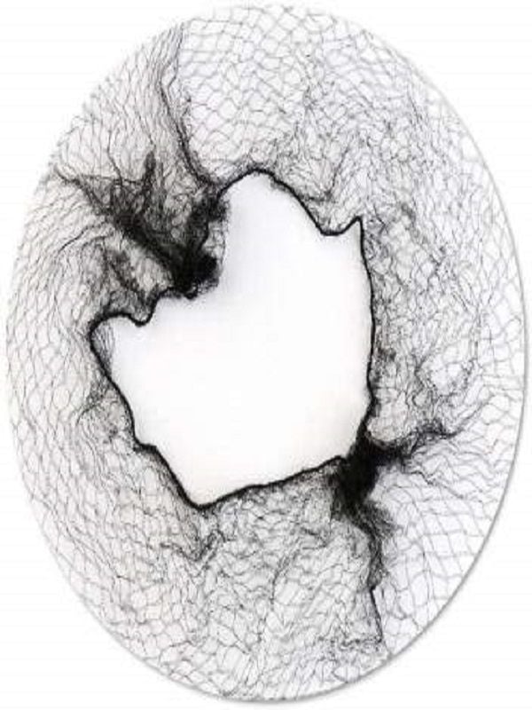 Topuz Filesi  Finest Hairnet  40Lı  Koyu Kahve