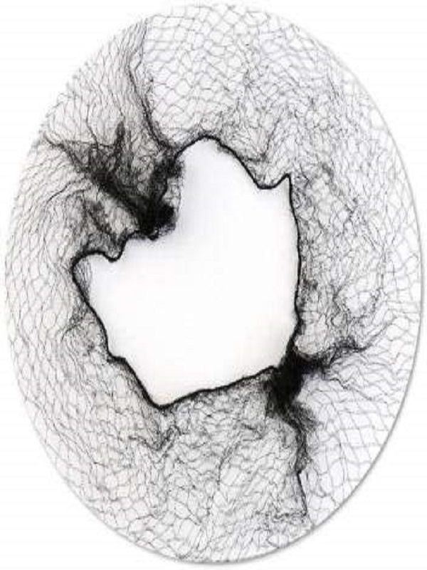 Topuz Filesi  Finest Hairnet  40Lı  Koyu Kahve